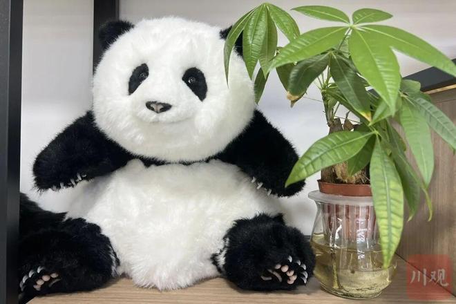 猫来了！千亿级大市场怎么争取澳门新葡京网