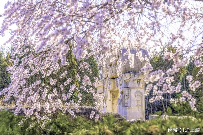 前十口碑靠谱推荐游客满意度 95%新葡京最新发布2025 北京旅行社(图5)