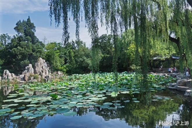 前十口碑靠谱推荐游客满意度 95%新葡京最新发布2025 北京旅行社(图6)